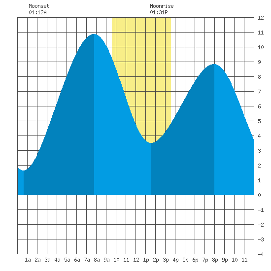 Shag Rock tide chart for Monday, December 9, 2024