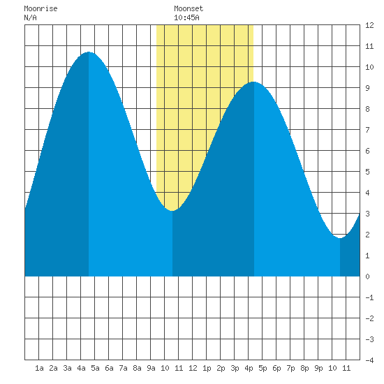 Shag Rock tide chart for Sunday, January 19, 2025