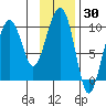 Shag Rock tide chart for Thursday, January 30, 2025