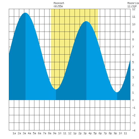 Shag Rock tide chart for Sunday, February 16, 2025