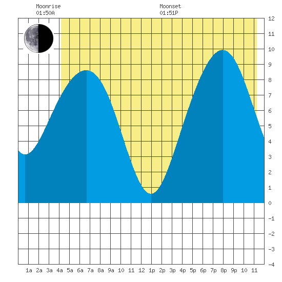 Shag Rock tide chart for Wednesday, June 18, 2025
