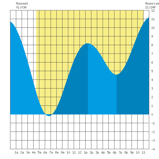 Shag Rock tide chart for Tuesday, July 8, 2025