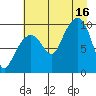 Shag Rock tide chart for Saturday, August 16, 2025