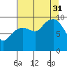 Shag Rock tide chart for Sunday, August 31, 2025
