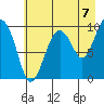 Shag Rock tide chart for Thursday, August 7, 2025