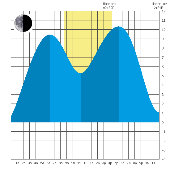 Shag Rock tide chart for Tuesday, November 11, 2025
