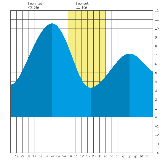 Shag Rock tide chart for Sunday, January 11, 2026