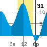Shag Rock tide chart for Saturday, January 31, 2026