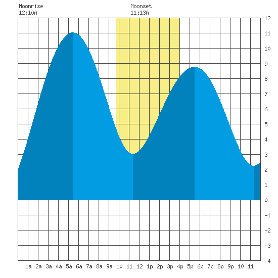 Shag Rock tide chart for Friday, January 9, 2026