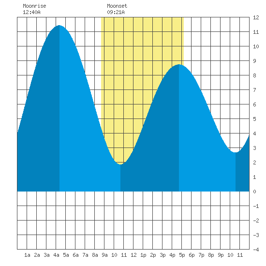Shag Rock tide chart for Saturday, February 7, 2026