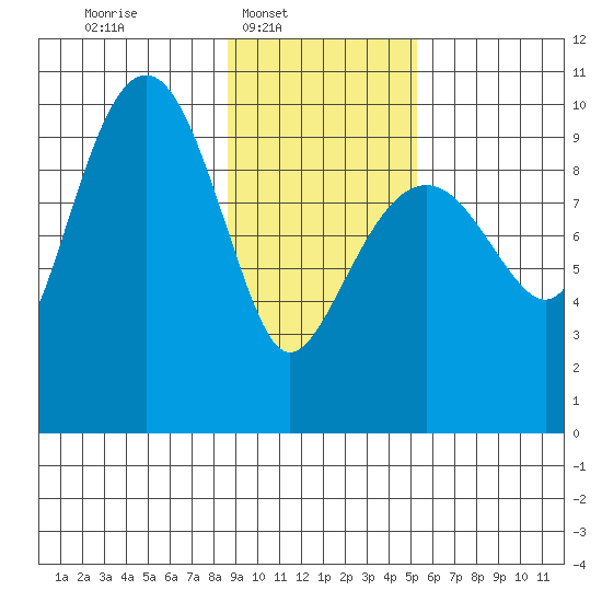 Shag Rock tide chart for Sunday, February 8, 2026