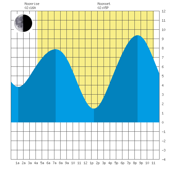 Shag Rock tide chart for Monday, June 8, 2026