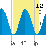Sheldon tide chart for Tuesday, August 12, 2025