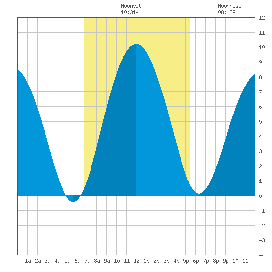 Sheldon tide chart for Saturday, November 8, 2025