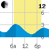 Shell Island tide chart for Monday, August 12, 2024