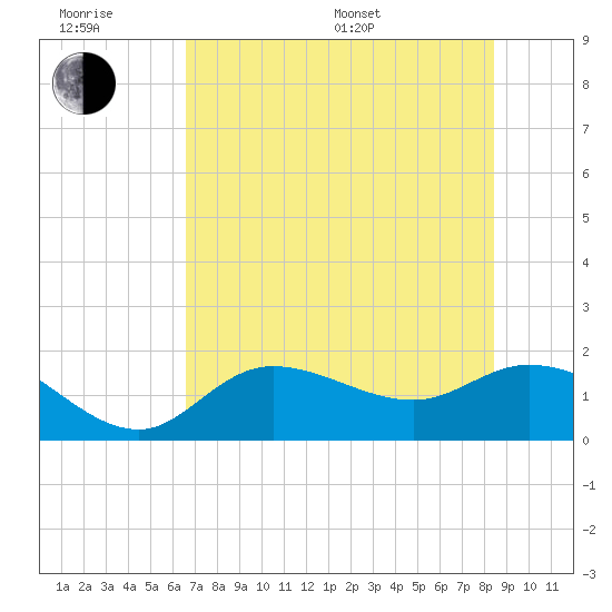 Shell Point tide chart for Friday, June 28, 2024
