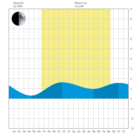 Shell Point tide chart for Sunday, June 21, 2026