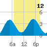 Shell Point tide chart for Tuesday, August 12, 2025