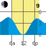 Shelter Cove tide chart for Saturday, May 9, 2026