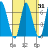 Shelton tide chart for Thursday, August 31, 2023
