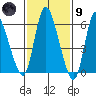 Shelton tide chart for Friday, February 9, 2024