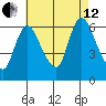 Shelton tide chart for Monday, August 12, 2024