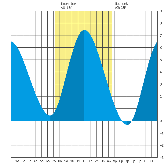 Shelton tide chart for Tuesday, December 31, 2024