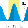 Shelton tide chart for Tuesday, December 31, 2024