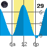 Shelton tide chart for Wednesday, January 29, 2025