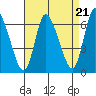 Shelton tide chart for Thursday, August 21, 2025