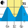 Shelton tide chart for Sunday, August 31, 2025