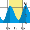 Shelton tide chart for Friday, October 31, 2025