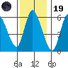 Shelton tide chart for Friday, December 19, 2025