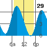 Shelton tide chart for Thursday, January 29, 2026