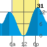 Shelton tide chart for Saturday, August 31, 2024