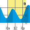 Shelton tide chart for Friday, August 9, 2024