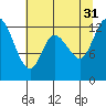 Shelton tide chart for Thursday, July 31, 2025