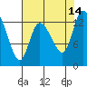 Shelton tide chart for Thursday, August 14, 2025