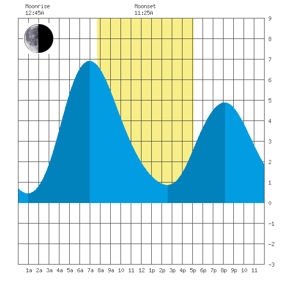 Skamokawa tide chart for Tuesday, January 25, 2022