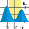 Skamokawa tide chart for Wednesday, January 31, 2024