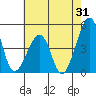 Sluice Creek tide chart for Monday, July 31, 2023