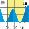 Sluice Creek tide chart for Monday, August 19, 2024