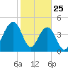 Snake Island tide chart for Saturday, January 25, 2025