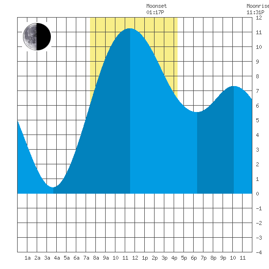 Sneeoosh Beach tide chart for Friday, November 22, 2024
