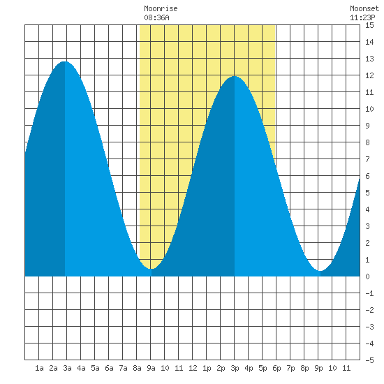 South Bay tide chart for Friday, February 20, 2026