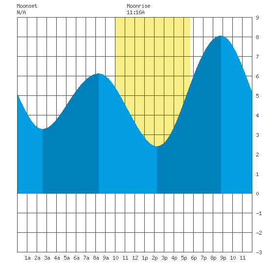 Black Rock tide chart for Friday, January 23, 2026
