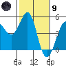 Farallon Island tide chart for Friday, February 9, 2024