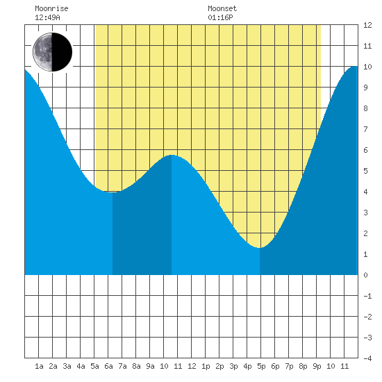 Blaine tide chart for Friday, June 28, 2024