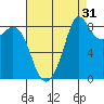 Blaine tide chart for Saturday, August 31, 2024
