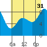 Blaine tide chart for Thursday, July 31, 2025